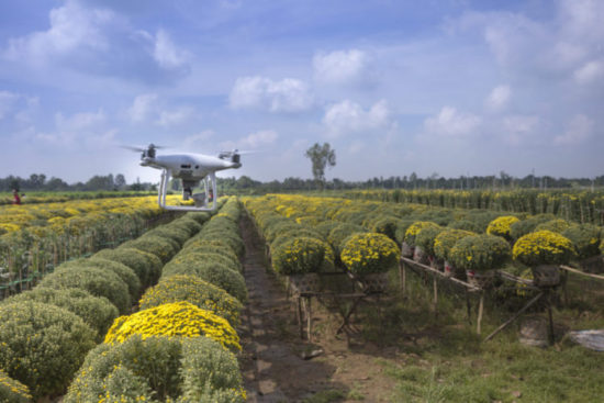 Iot Agriculture