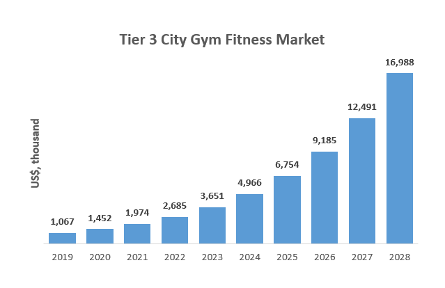 Consulting gym fitness market