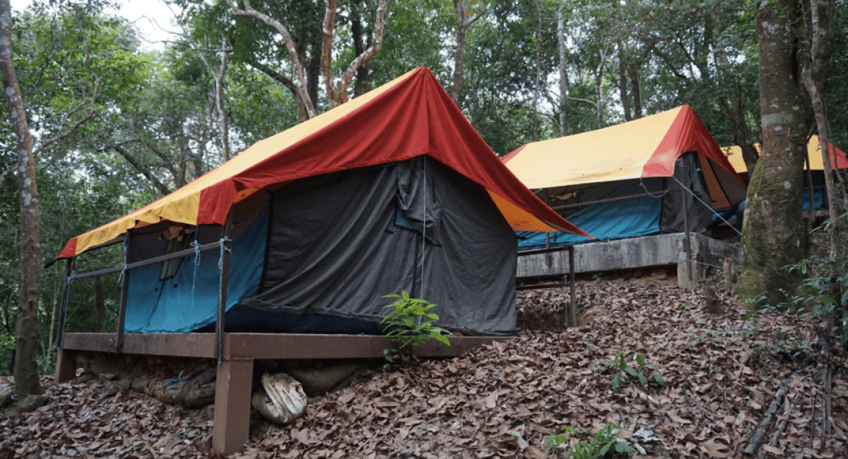 Glamping Market Size